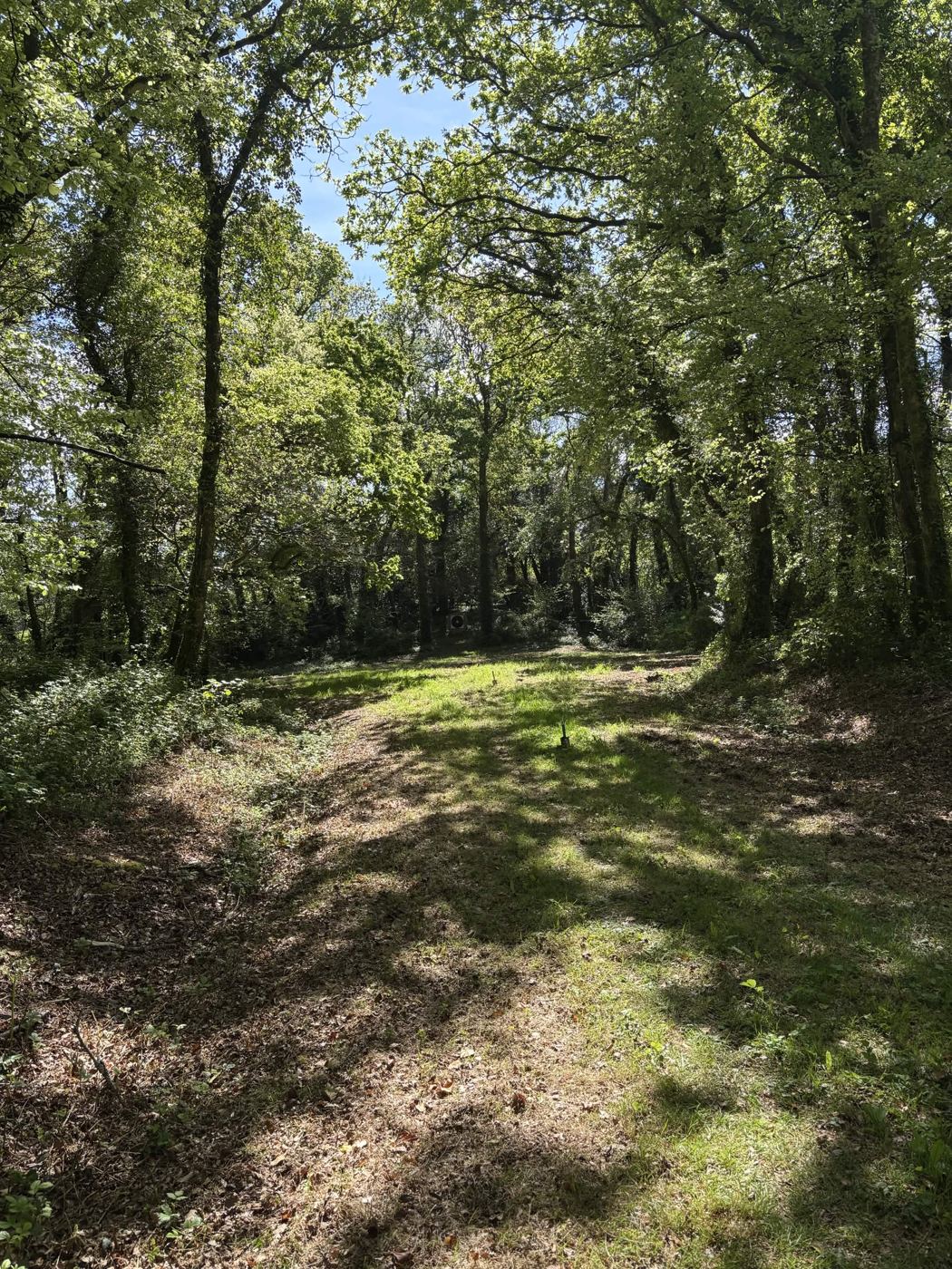 Parcours de tir en campagne à travers la forêt