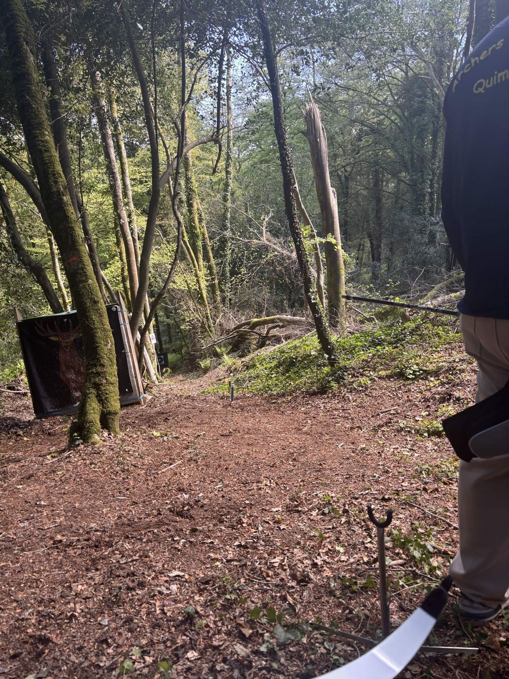 Cible en forme de cerf pour le tir 3D en forêt